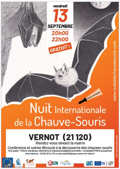 Nuit de la chauve-souris à Vernot